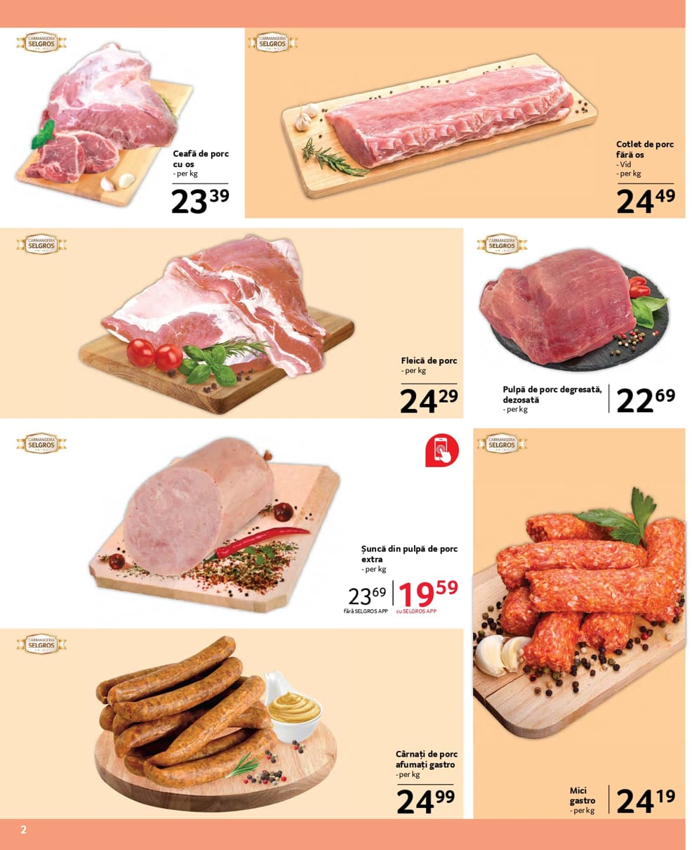 catalog Selgros gastro food